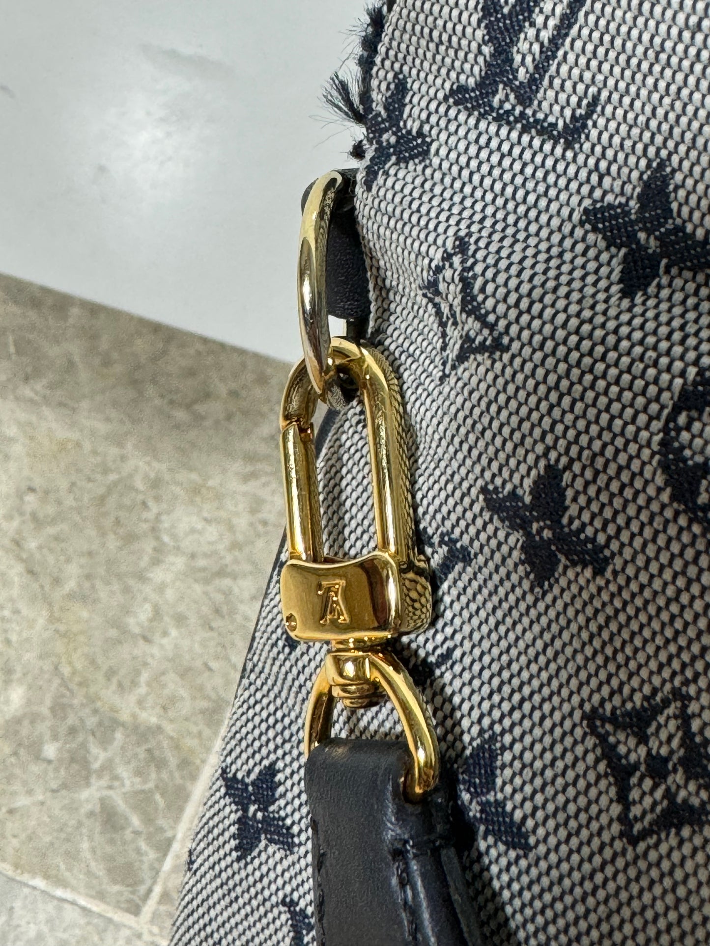 Louis Vuitton Monogram Mini Lin Francoise