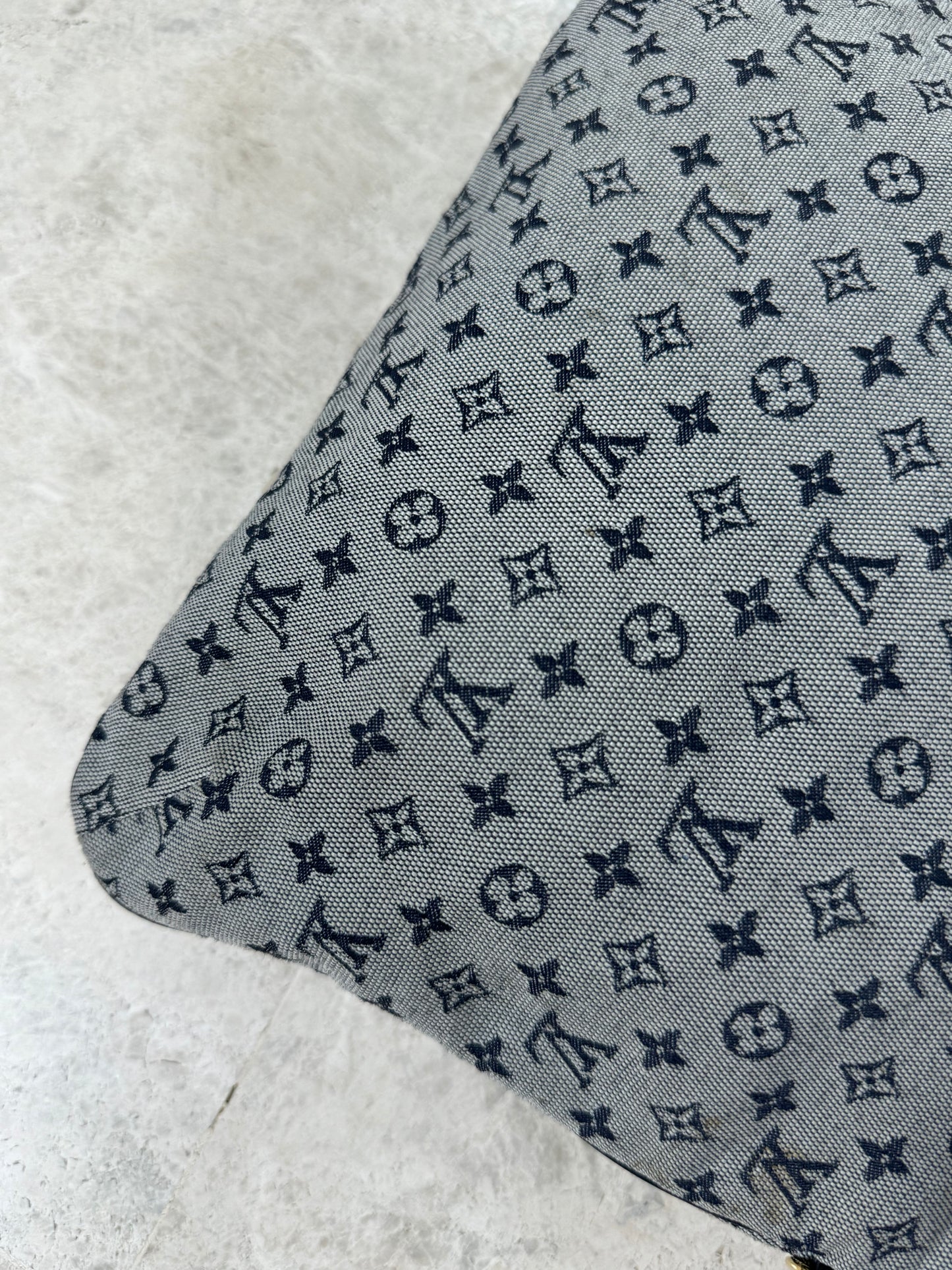 Louis Vuitton Monogram Mini Lin Francoise
